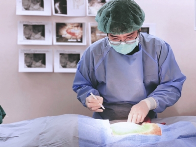 狗狗肥大細胞瘤完整指南｜症狀、分期、手術與化療治療方式解析